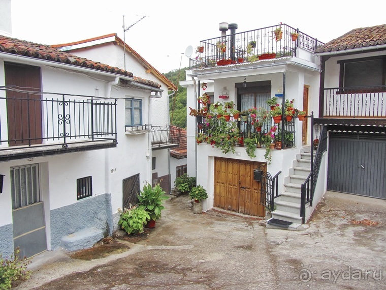 Как мы спасали ёжика и другие прогулки по Кастилии и вокруг Мадрида. Часть 11 Как мы спасали ёжика и другие прогулки по Кастилии и вокруг Мадрида. Часть 11