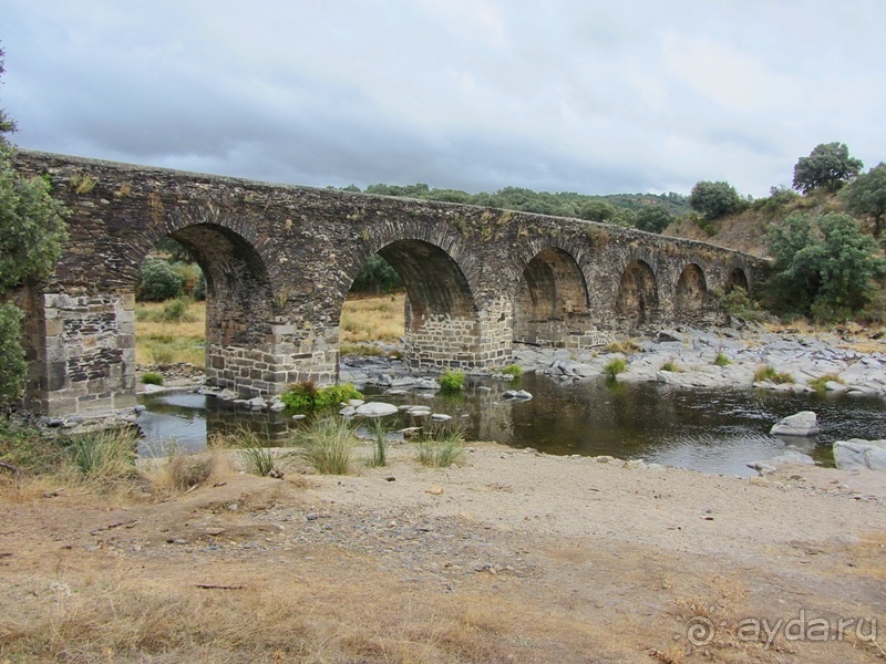 Как мы спасали ёжика и другие прогулки по Кастилии и вокруг Мадрида. Часть 11 Как мы спасали ёжика и другие прогулки по Кастилии и вокруг Мадрида. Часть 11