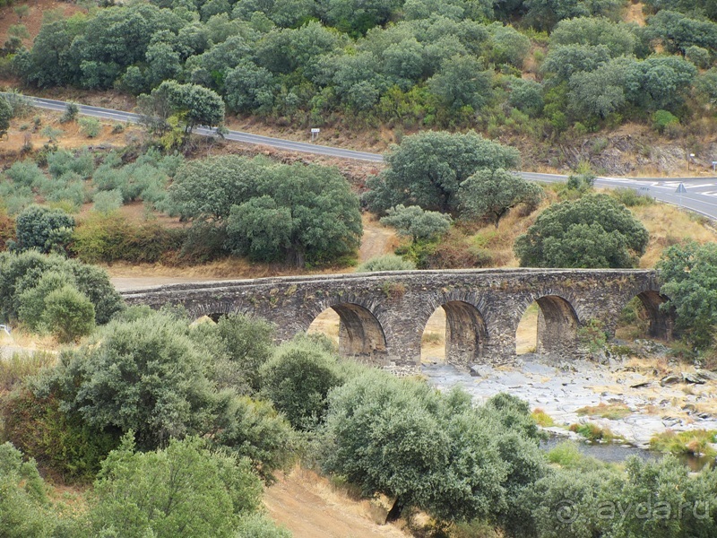 Как мы спасали ёжика и другие прогулки по Кастилии и вокруг Мадрида. Часть 11 Как мы спасали ёжика и другие прогулки по Кастилии и вокруг Мадрида. Часть 11