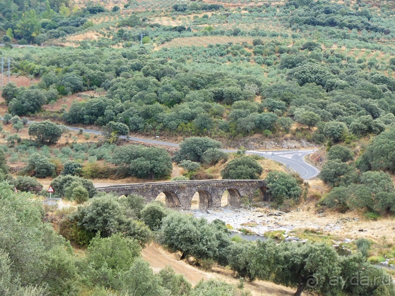 Как мы спасали ёжика и другие прогулки по Кастилии и вокруг Мадрида. Часть 11 Как мы спасали ёжика и другие прогулки по Кастилии и вокруг Мадрида. Часть 11