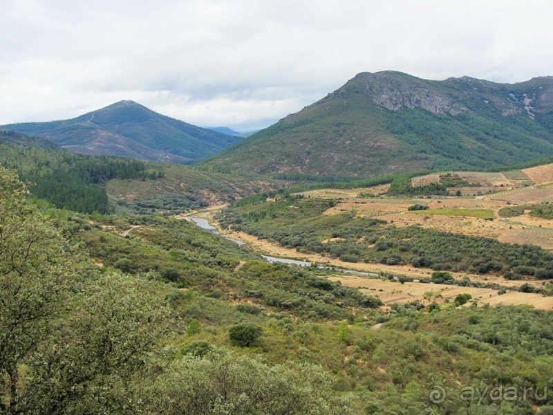 Как мы спасали ёжика и другие прогулки по Кастилии и вокруг Мадрида. Часть 11 Как мы спасали ёжика и другие прогулки по Кастилии и вокруг Мадрида. Часть 11