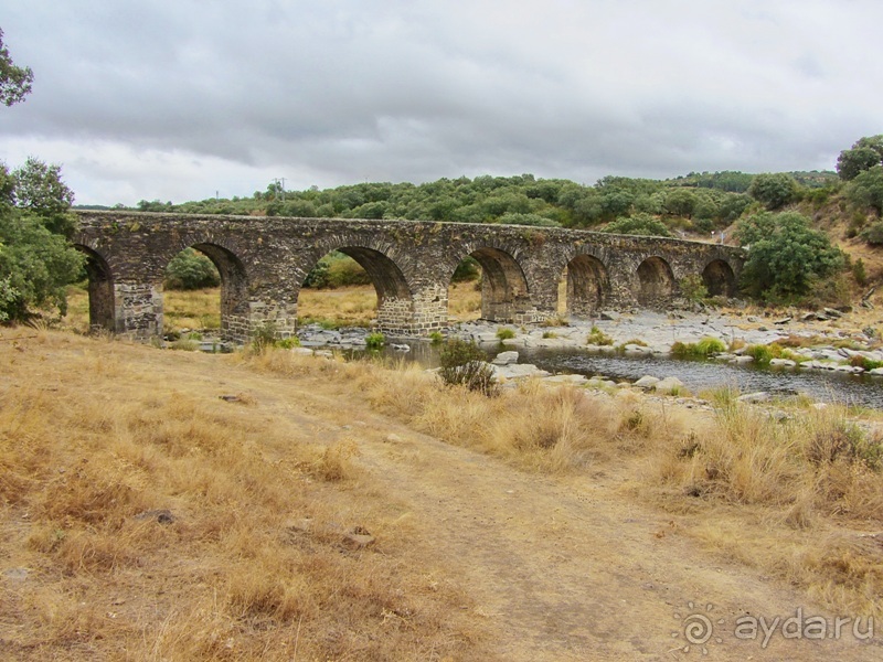 Как мы спасали ёжика и другие прогулки по Кастилии и вокруг Мадрида. Часть 11 Как мы спасали ёжика и другие прогулки по Кастилии и вокруг Мадрида. Часть 11