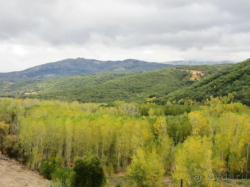 Как мы спасали ёжика и другие прогулки по Кастилии и вокруг Мадрида. Часть 11 Как мы спасали ёжика и другие прогулки по Кастилии и вокруг Мадрида. Часть 11