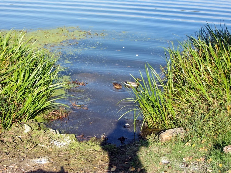 Эмилия-Романья вдоль и немного поперёк (Болонья и окрестности). Часть 12