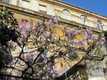 Италия в камне: Рим - Витербо - Гроссето - Питильяно - Сорано ... и опять Рим. Часть 18