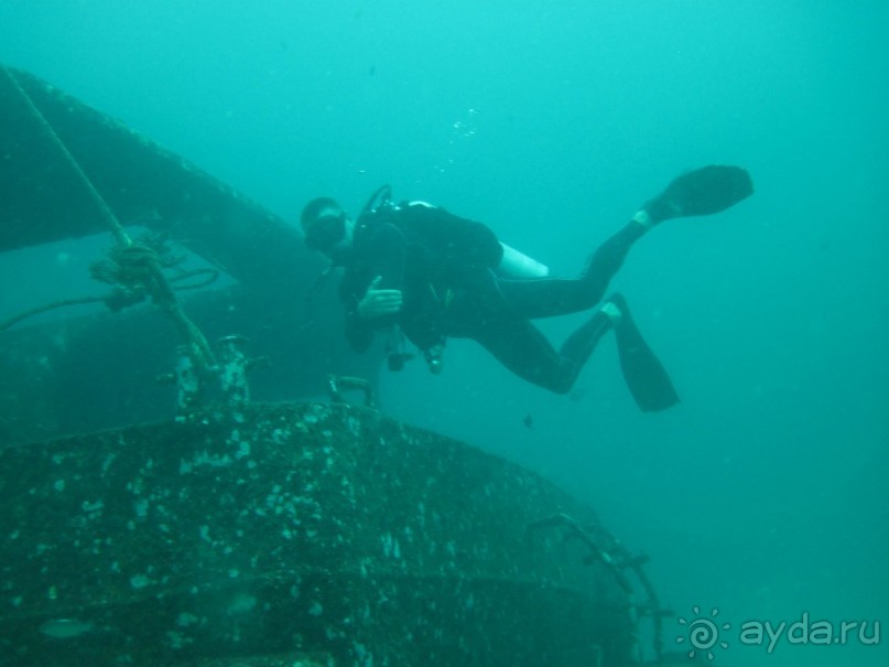 Страна кокосовых фрешей и сладких морепродуктов