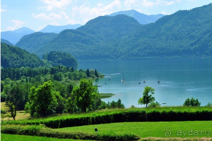 Лучше гор могут быть только горы,или альпийский автопробег.