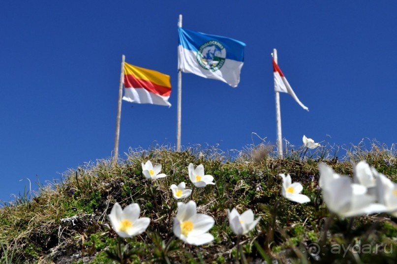 Лучше гор могут быть только горы,или альпийский автопробег.
