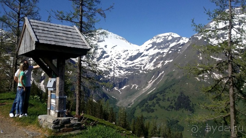 Лучше гор могут быть только горы,или альпийский автопробег.
