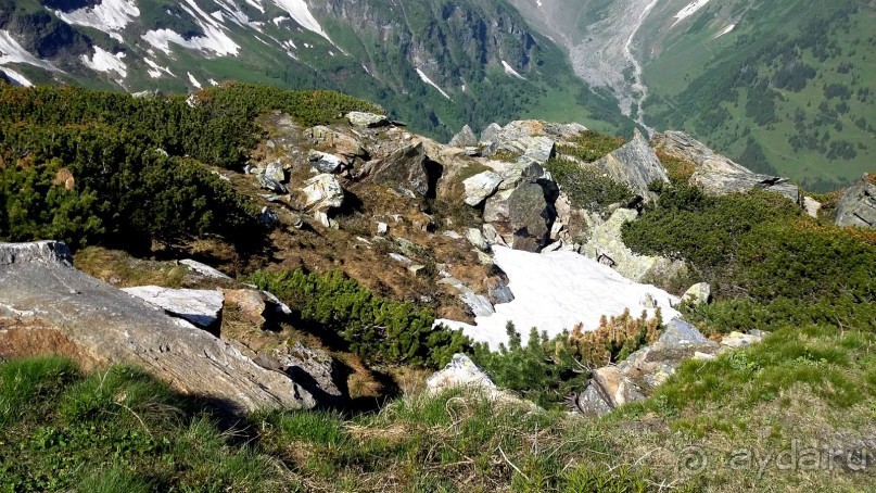 Лучше гор могут быть только горы,или альпийский автопробег.
