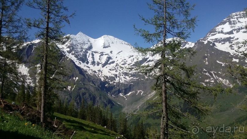 Лучше гор могут быть только горы,или альпийский автопробег.