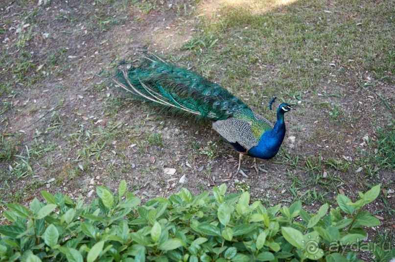 Отдых для души