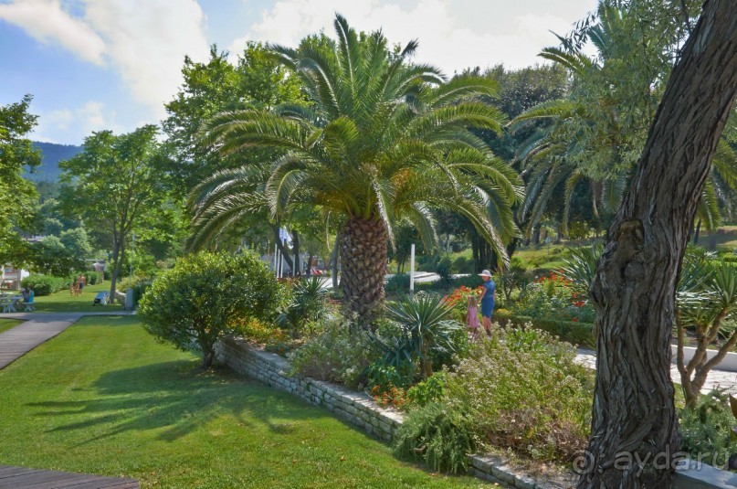 Отдых для души