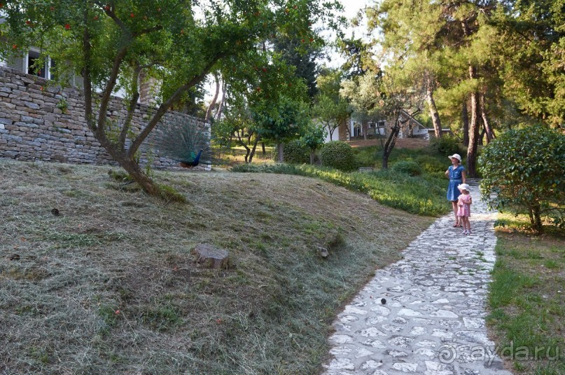 фото Hunguest Hotel Hoforras