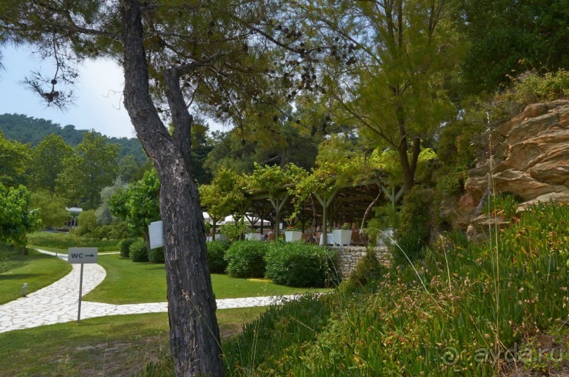 фото Hunguest Hotel Hoforras