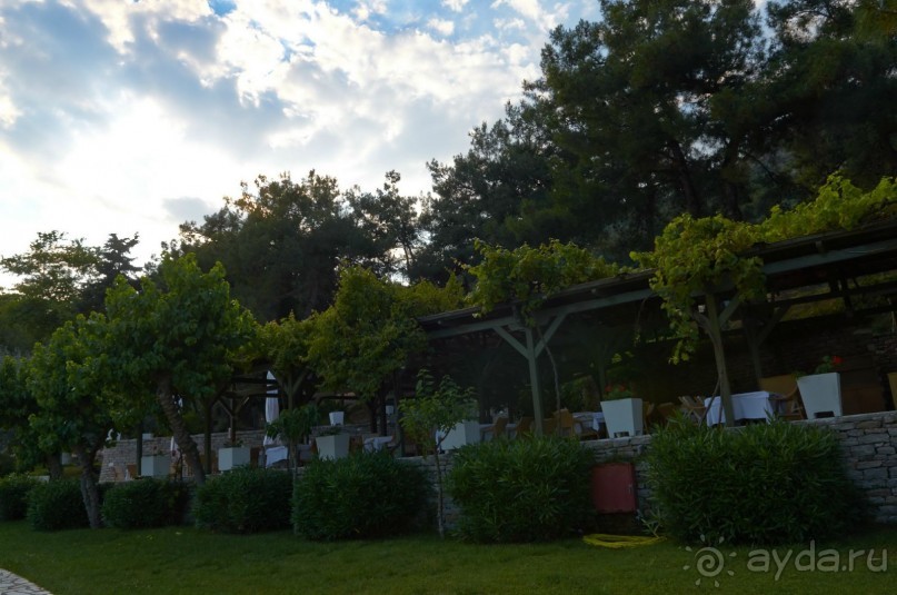 фото Hunguest Hotel Hoforras