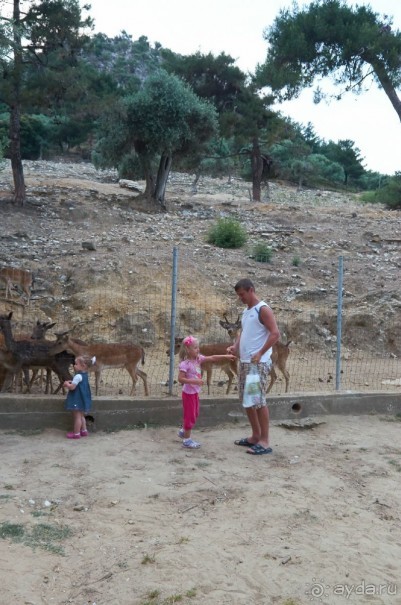 фото Hunguest Hotel Hoforras