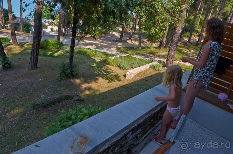 фото Hunguest Hotel Hoforras