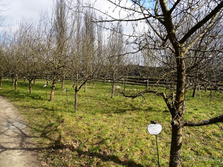 Термальный курорт Bad Blumau