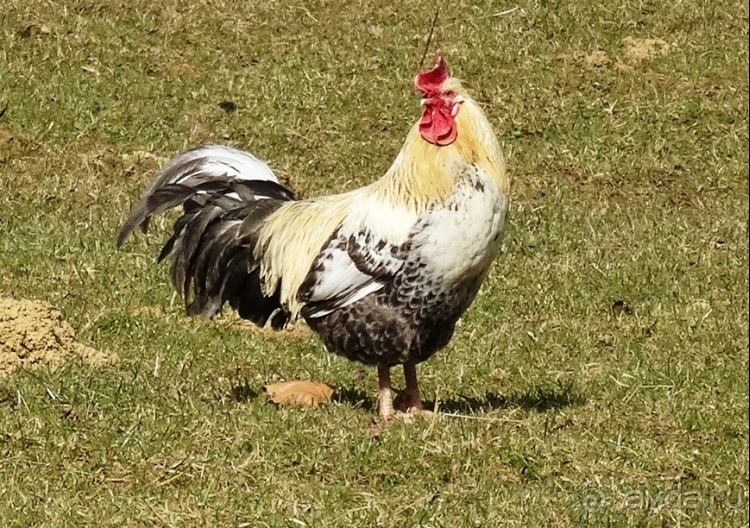 Термальный курорт Bad Blumau