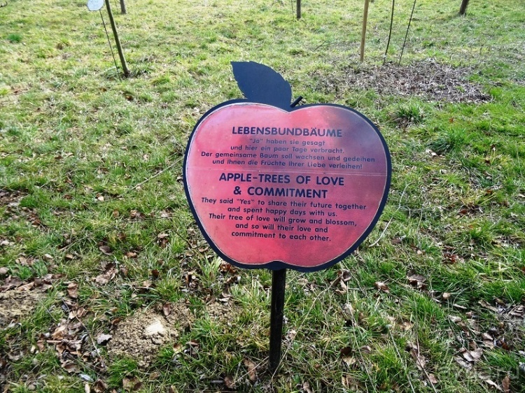 Термальный курорт Bad Blumau