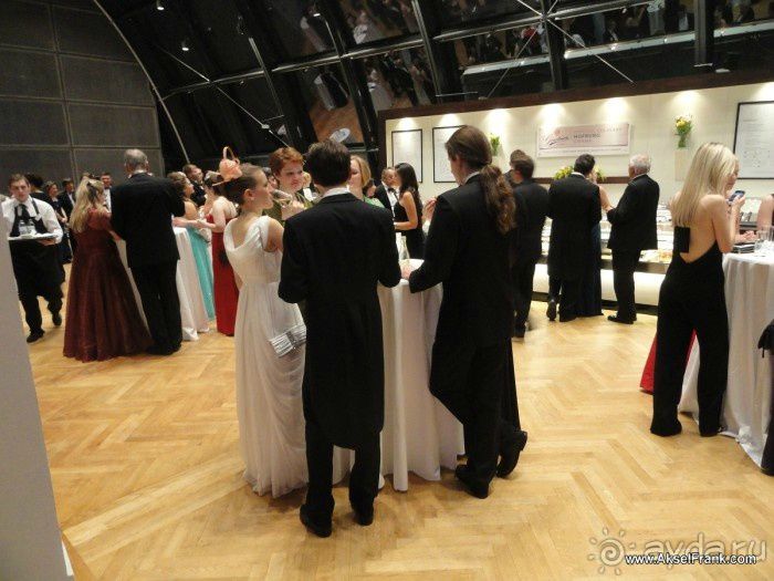 Новогодний бал во дворце Hoffburg