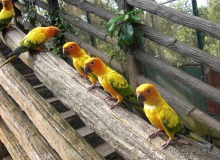 Как стать счастливыми целой страной