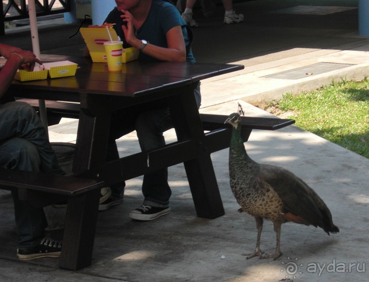 Как стать счастливыми целой страной