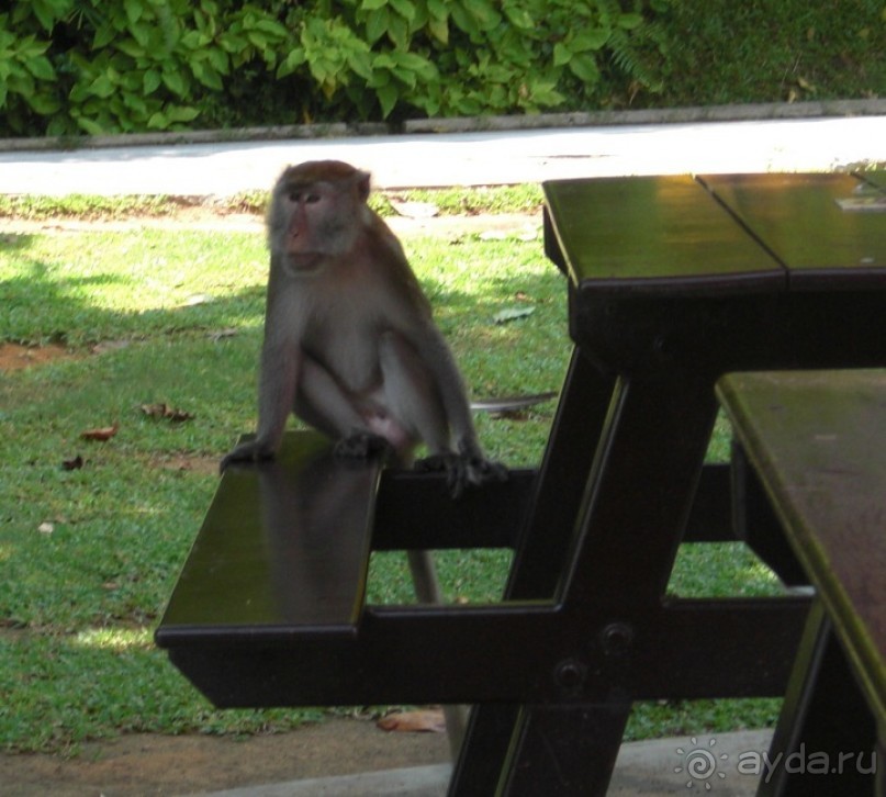 Как стать счастливыми целой страной