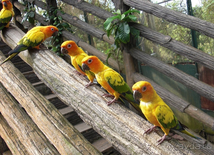 Как стать счастливыми целой страной