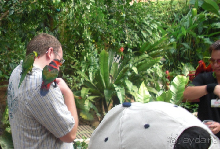 Как стать счастливыми целой страной