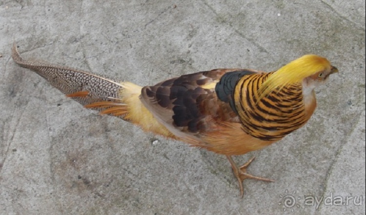 Как стать счастливыми целой страной