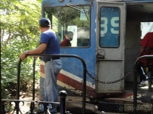 В Коста-Рику, на зверушек посмотреть