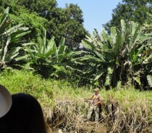 В Коста-Рику, на зверушек посмотреть