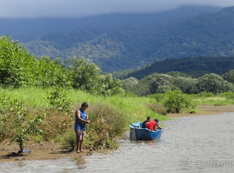 В Коста-Рику, на зверушек посмотреть