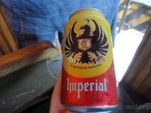 В Коста-Рику, на зверушек посмотреть