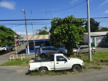 В Коста-Рику, на зверушек посмотреть