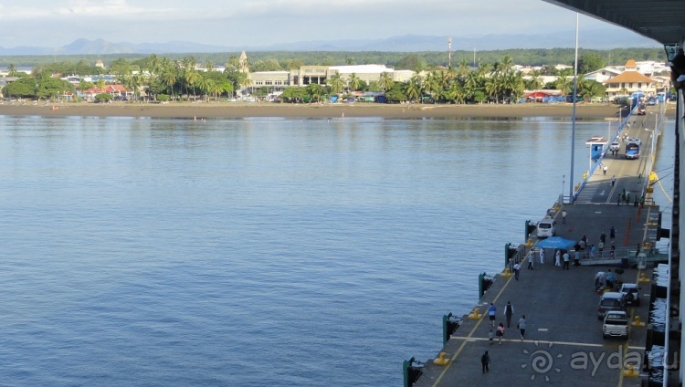 В Коста-Рику, на зверушек посмотреть