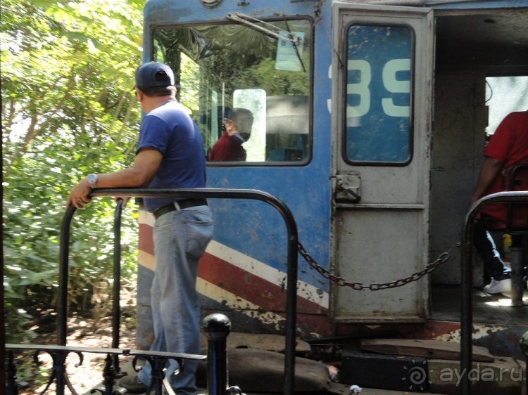 В Коста-Рику, на зверушек посмотреть