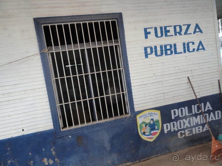 В Коста-Рику, на зверушек посмотреть