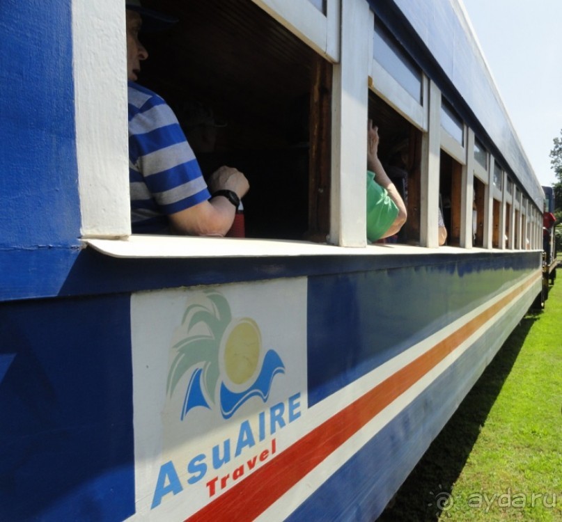 В Коста-Рику, на зверушек посмотреть