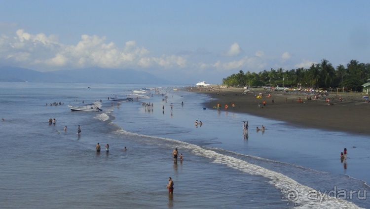 В Коста-Рику, на зверушек посмотреть