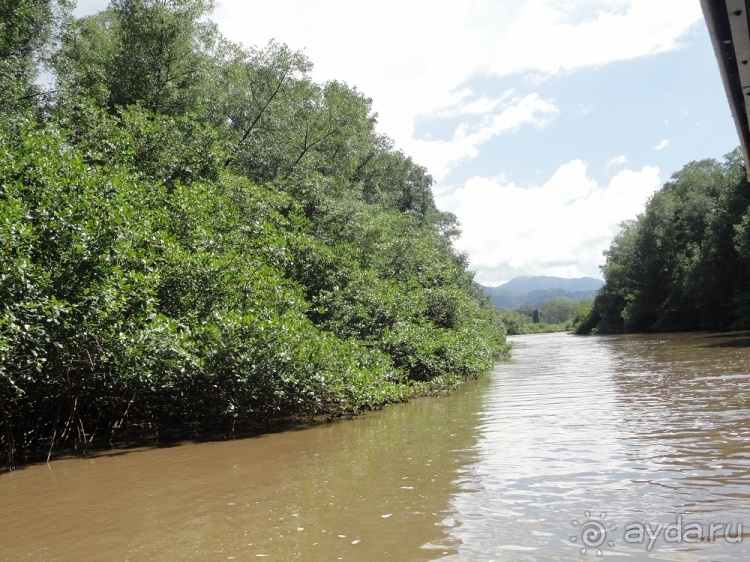 В Коста-Рику, на зверушек посмотреть