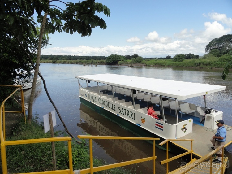 В Коста-Рику, на зверушек посмотреть