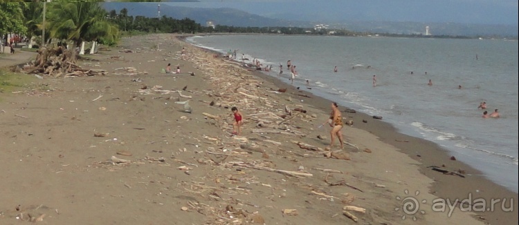 В Коста-Рику, на зверушек посмотреть