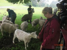 Люди и звери