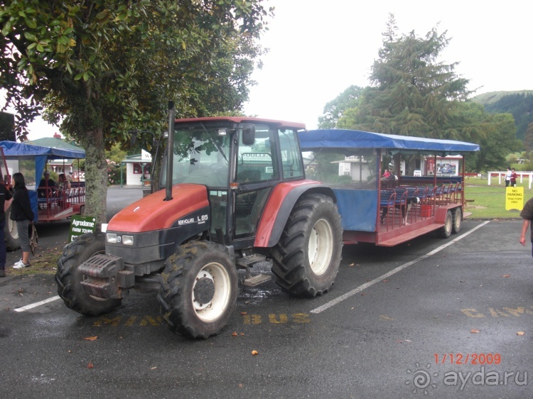 Люди и звери