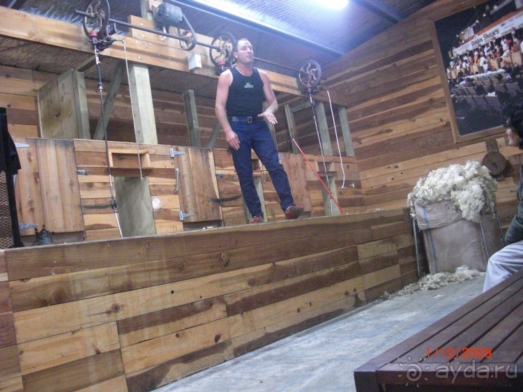 Люди и звери