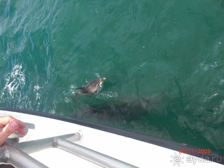 Люди и звери