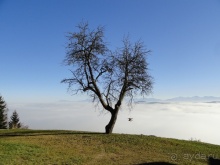 Оссиахер Зее, филиал Рая в центре Европы